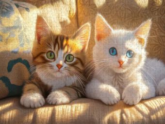 Produktbild: CALVENDO Puzzle Illustrationen von Katzen | 1000 Teile Lege-Gr&ouml;&szlig;e 64x48cm Foto-Puzzle f&uuml;r gl&uuml;ckliche Stunden