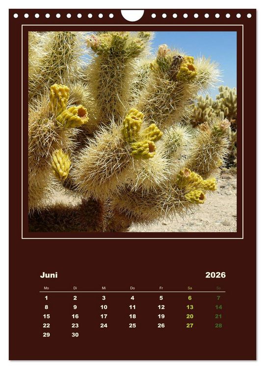 Produktbild: Wilde Kakteen Amerikas (Wandkalender 2026 DIN A4 hoch), CALVENDO Monatskalender