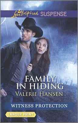 Produktbild: Family in Hiding