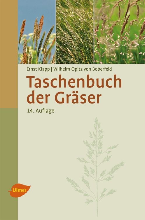 Produktbild: Taschenbuch der Gräser