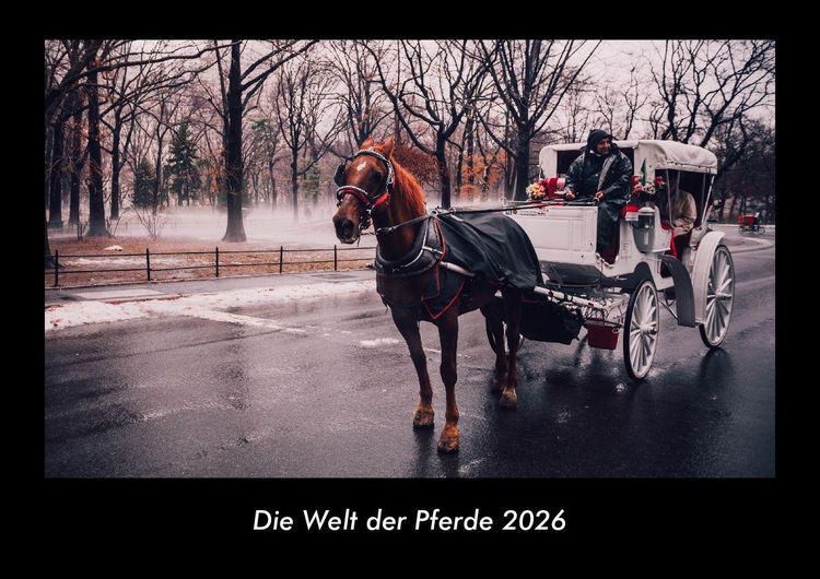 Produktbild: Die Welt der Pferde 2026 Fotokalender DIN A3