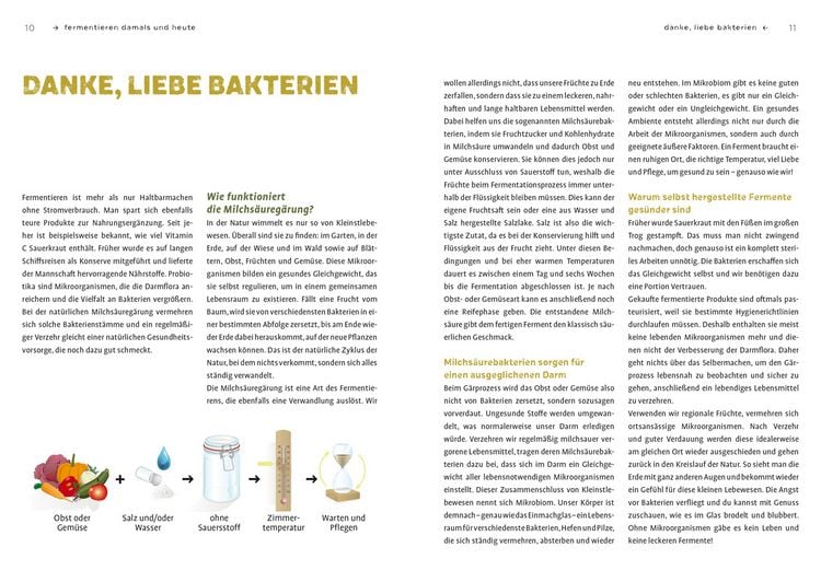 Produktbild: Fermentier' doch mal!