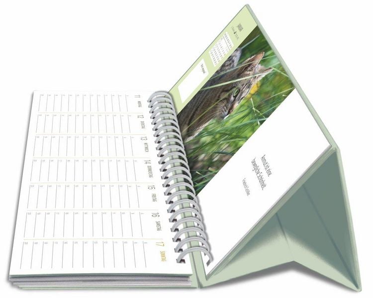 Produktbild: Katzen Premium-Tischplaner 2027 - Der literarische Wochenkalender mit Zitaten