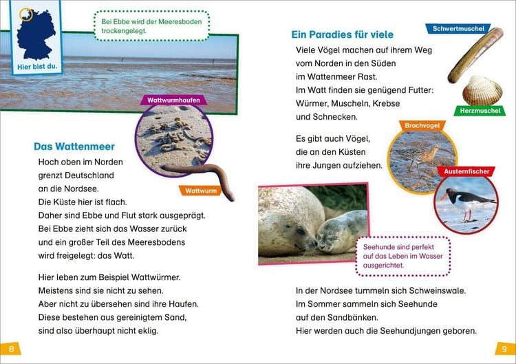 Produktbild: WAS IST WAS Erstes Lesen Band 21. Deutschland