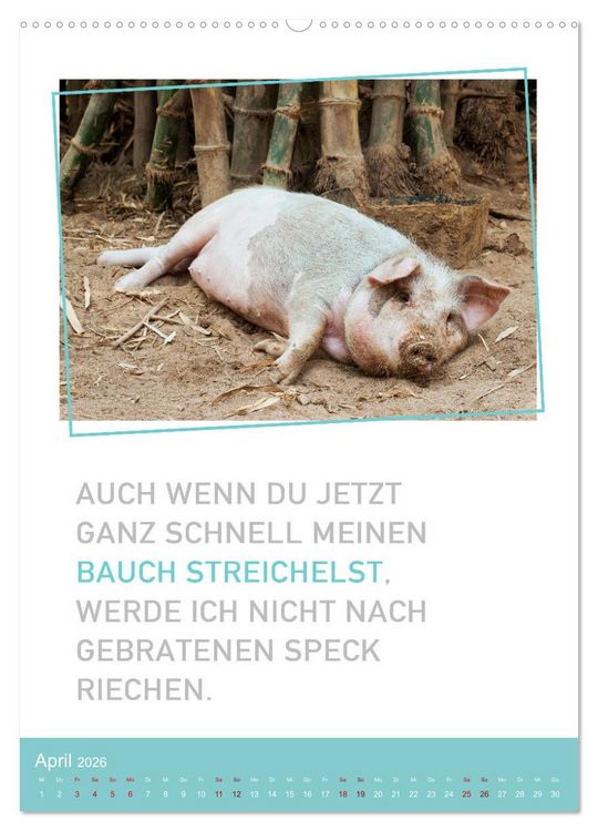 Produktbild: Tierisch bekloppt! (Wandkalender 2026 DIN A2 hoch), CALVENDO Monatskalender