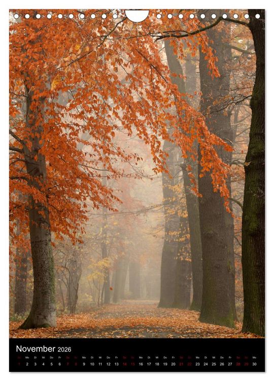 Produktbild: B&auml;ume - Stilles Leben (Wandkalender 2026 DIN A4 hoch), CALVENDO Monatskalender