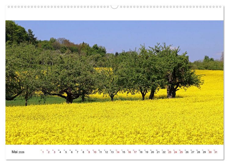 Produktbild: Hegau und See (Wandkalender 2026 DIN A2 quer), CALVENDO Monatskalender