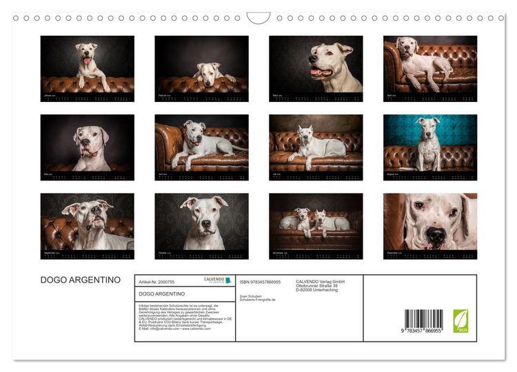 Produktbild: DOGO ARGENTINO (Wandkalender 2026 DIN A3 quer), CALVENDO Monatskalender