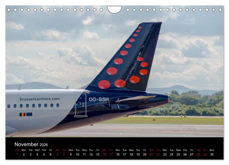 Produktbild: Airline Tails (Wall Calendar 2026 DIN A4 landscape), CALVENDO 12 Month Wall Calendar