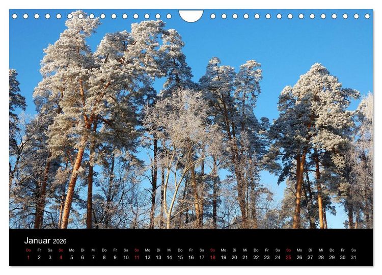 Produktbild: Jahreszeiten / 2026 (Wandkalender 2026 DIN A4 quer), CALVENDO Monatskalender