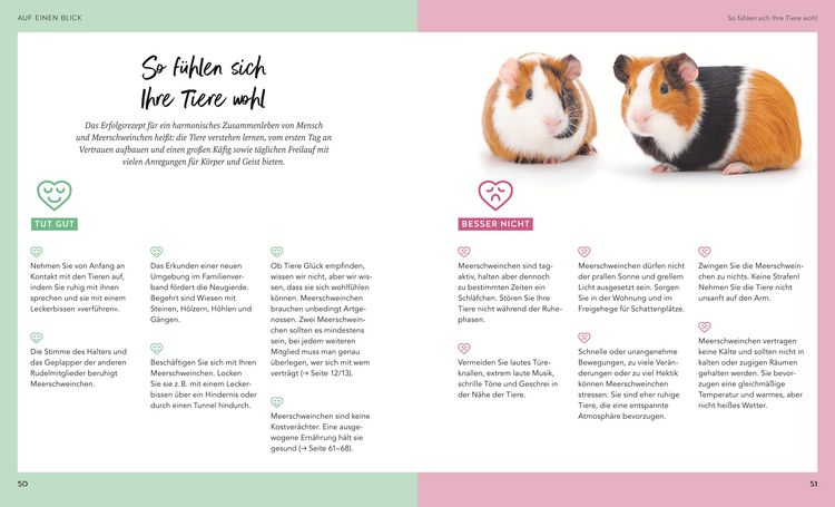 Produktbild: Meerschweinchen