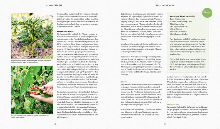 Produktbild: Mein Biogem&uuml;se-Garten