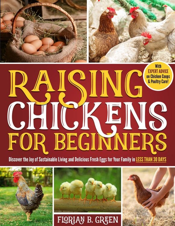 Produktbild: Raising Chickens for Beginners