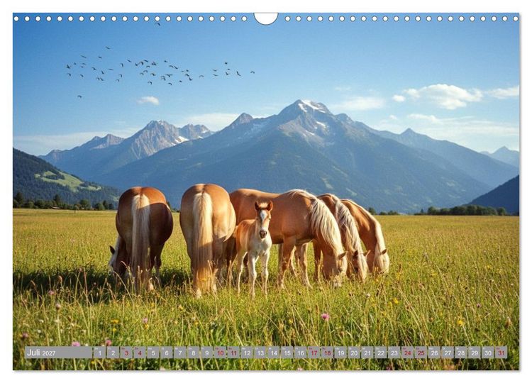 Produktbild: Alpent&auml;ler und Haflinger Pferde (Wandkalender 2027 DIN A3 quer), CALVENDO Monatskalender