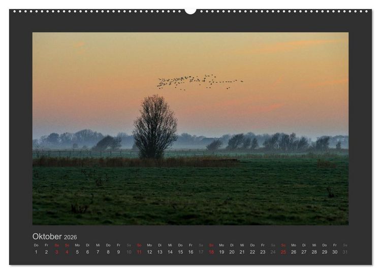 Produktbild: Impressionen aus St. Peter-Ording (Wandkalender 2026 DIN A2 quer), CALVENDO Monatskalender