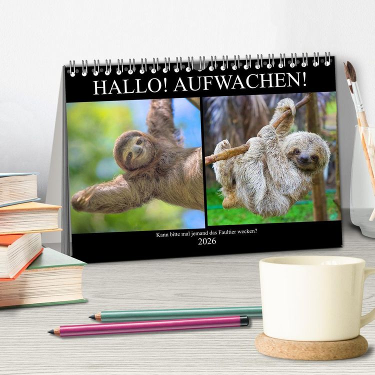 Produktbild: Hallo! Aufwachen! Kann bitte mal jemand das Faultier wecken? (Tischkalender 2026 DIN A5 quer), CALVENDO Monatskalender