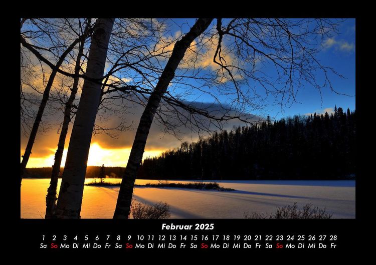Produktbild: B&auml;ume 2025 Fotokalender DIN A3