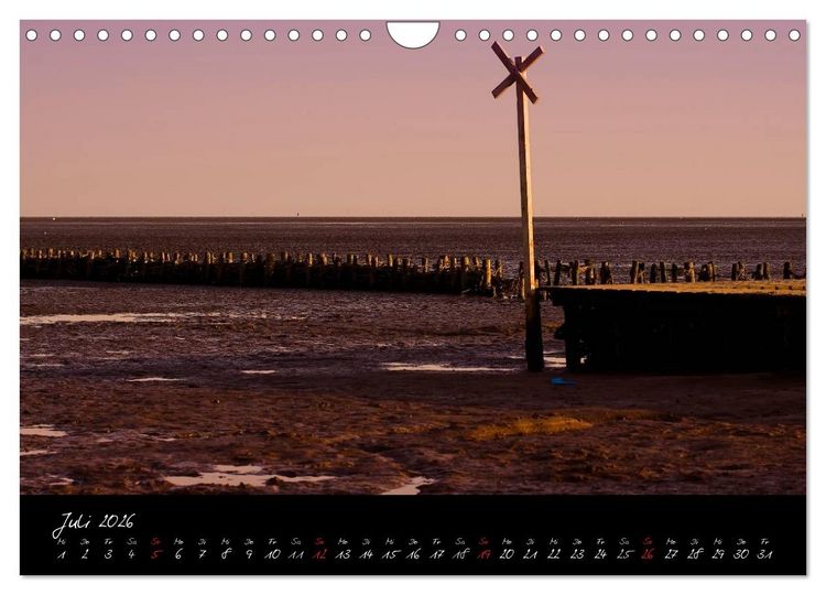 Produktbild: Friedrichskoog Buhnen und Salzwiesen (Wandkalender 2026 DIN A4 quer), CALVENDO Monatskalender