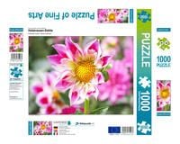 Produktbild: CALVENDO Puzzle Halskrausen-Dahlie | 1000 Teile Lege-Gr&ouml;&szlig;e 64x48cm Foto-Puzzle f&uuml;r gl&uuml;ckliche Stunden