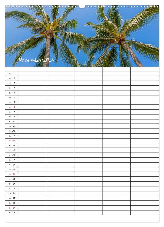 Produktbild: Idyllisches Florida / Familienplaner (Wandkalender 2026 DIN A2 hoch), CALVENDO Monatskalender