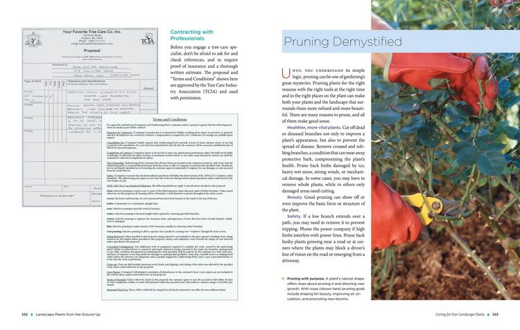 Produktbild: The Homeowner's Complete Tree & Shrub Handbook