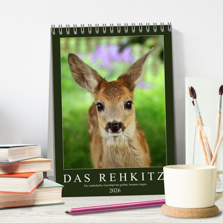 Produktbild: Das Rehkitz, ein zauberhaftes Gesch&ouml;pf mit gro&szlig;en, braunen Augen (Tischkalender 2026 DIN A5 hoch), CALVENDO Monatskalender
