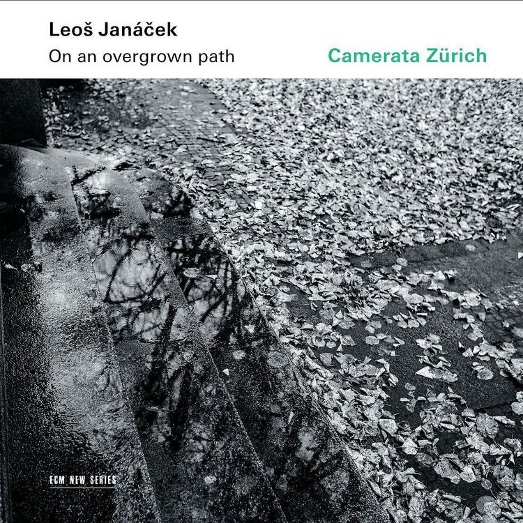 Produktbild: Leos Janacek: On an overgrown path