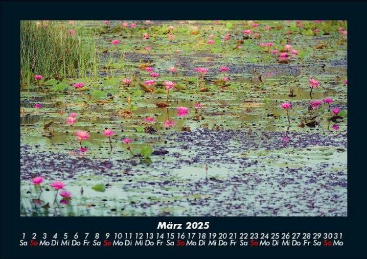 Produktbild: Rosen-Kalender 2025 Fotokalender DIN A5