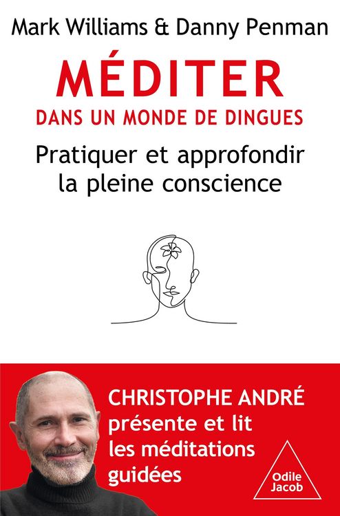 Produktbild: Mediter dans un monde de dingues