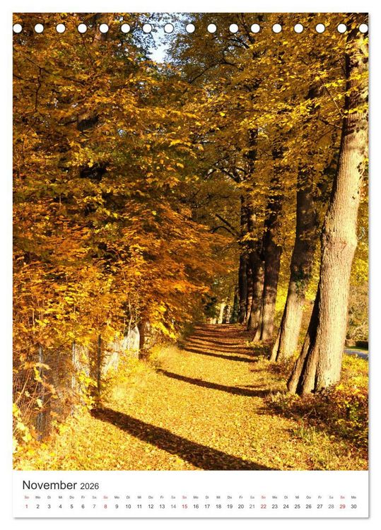 Produktbild: Faszination der Farben im Naturpark Lappwald (Tischkalender 2026 DIN A5 hoch), CALVENDO Monatskalender