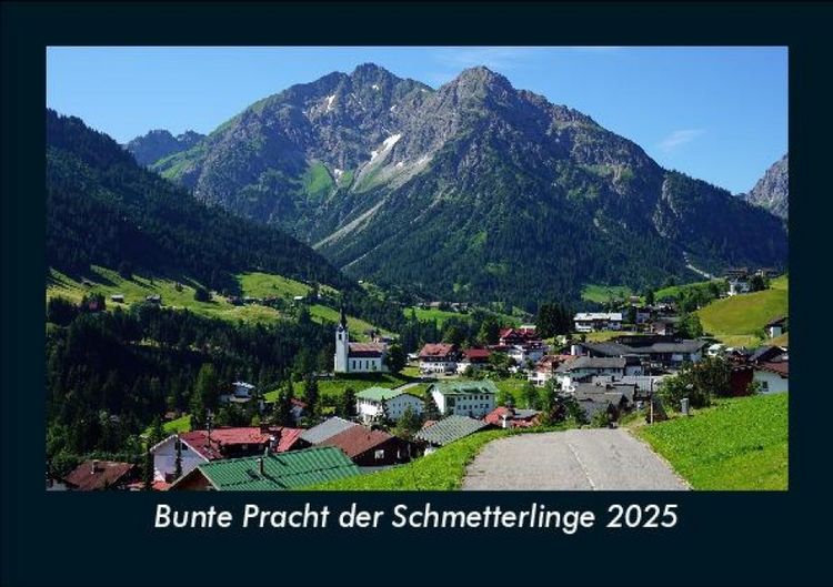 Produktbild: Bunte Pracht der Schmetterlinge 2025 Fotokalender DIN A5
