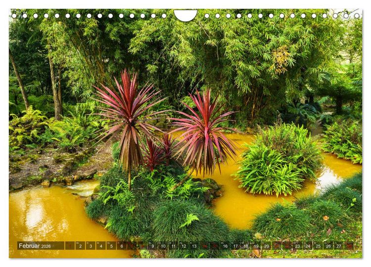 Produktbild: Terra Nostra Garten - ein botanisches Juwel auf den Azoren (Wandkalender 2026 DIN A4 quer), CALVENDO Monatskalender