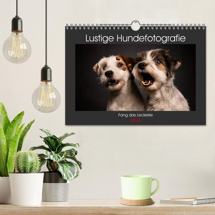 Produktbild: Fang das Leckerlie (Wandkalender 2026 DIN A4 quer), CALVENDO Monatskalender