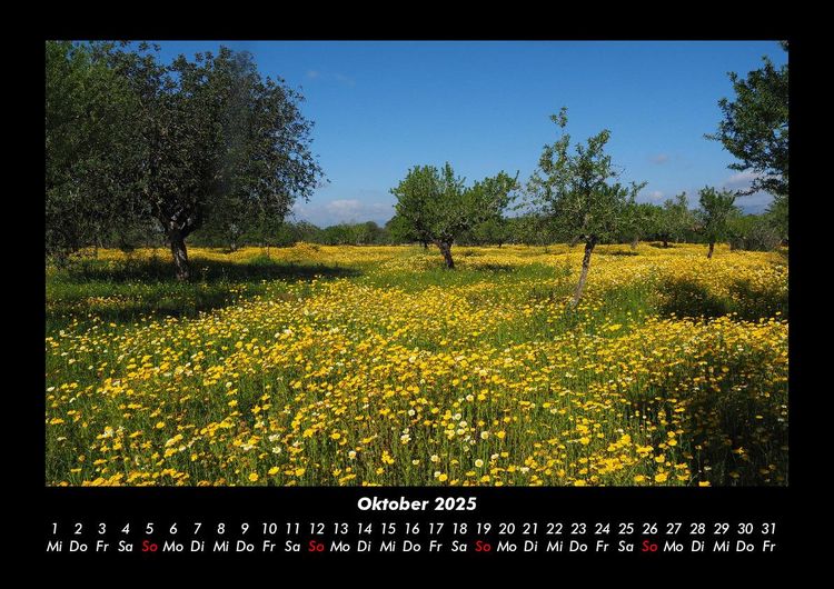 Produktbild: Natur 2025 Fotokalender DIN A3