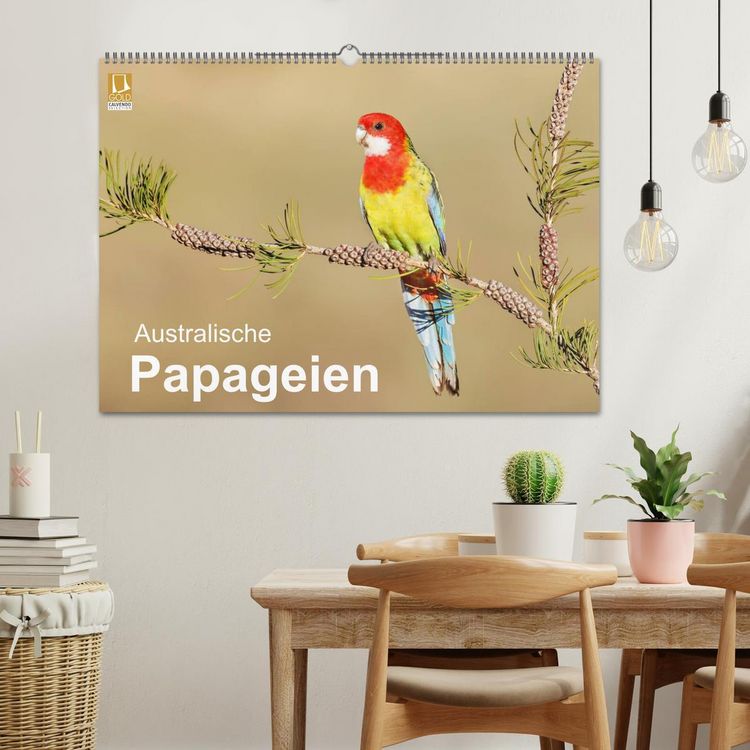 Produktbild: Australische Papageien (Wandkalender 2026 DIN A2 quer), CALVENDO Monatskalender