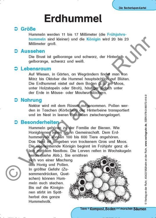 Produktbild: Tiere in Kompost, Boden und morschen B&auml;umen