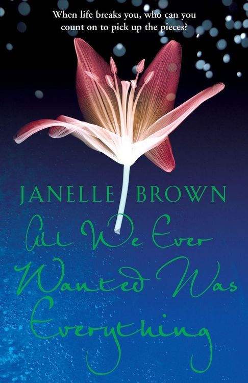 Produktbild: All We Ever Wanted Was Everything