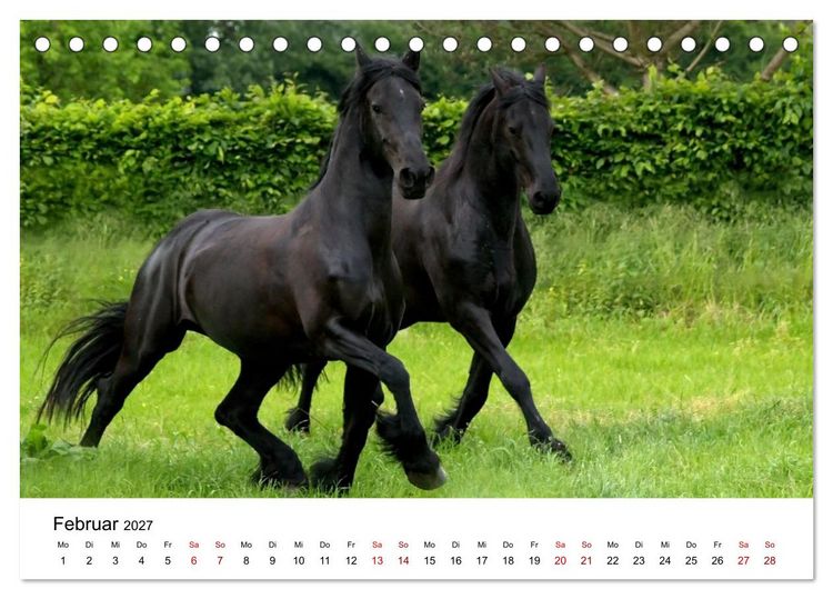 Produktbild: Friesen - Kraft und Eleganz (Tischkalender 2027 DIN A5 quer), CALVENDO Monatskalender