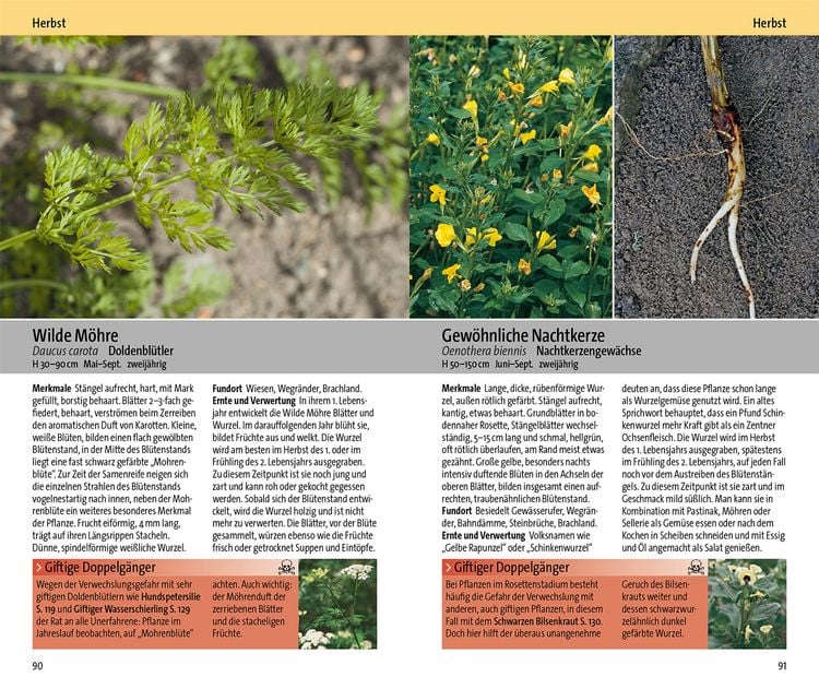 Produktbild: Essbare Wildkr&auml;uter und ihre giftigen Doppelg&auml;nger