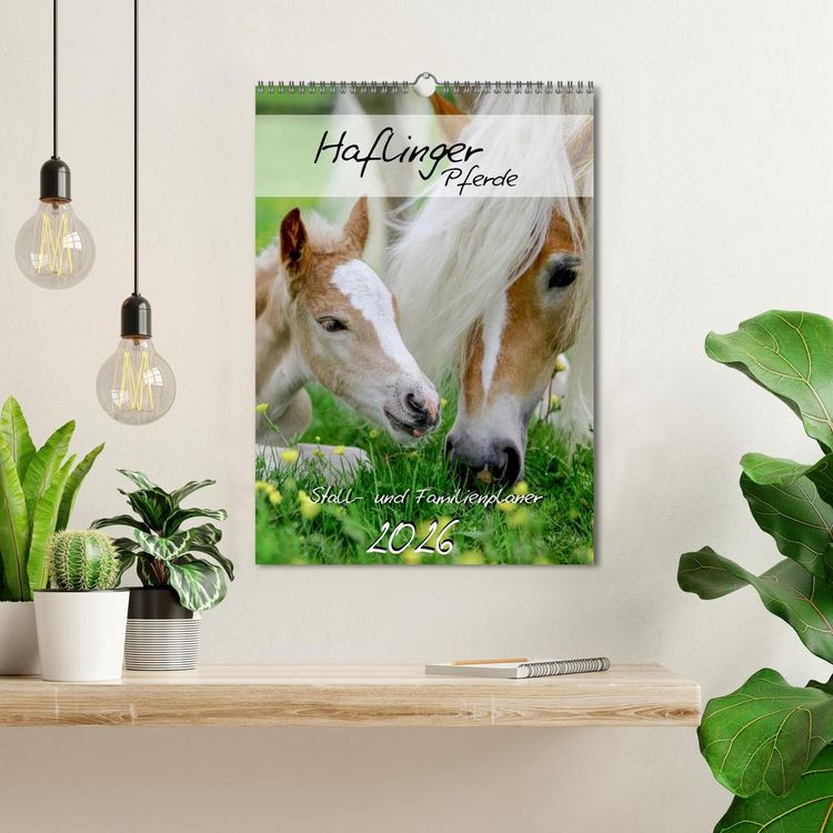 Produktbild: Haflinger Pferde - Stall- und Familienplaner 2026 (Wandkalender 2026 DIN A3 hoch), CALVENDO Monatskalender