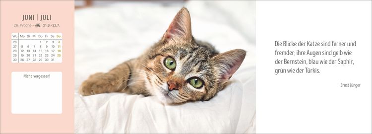 Produktbild: Katzen Premium-Tischplaner 2027 - Der literarische Wochenkalender mit Zitaten