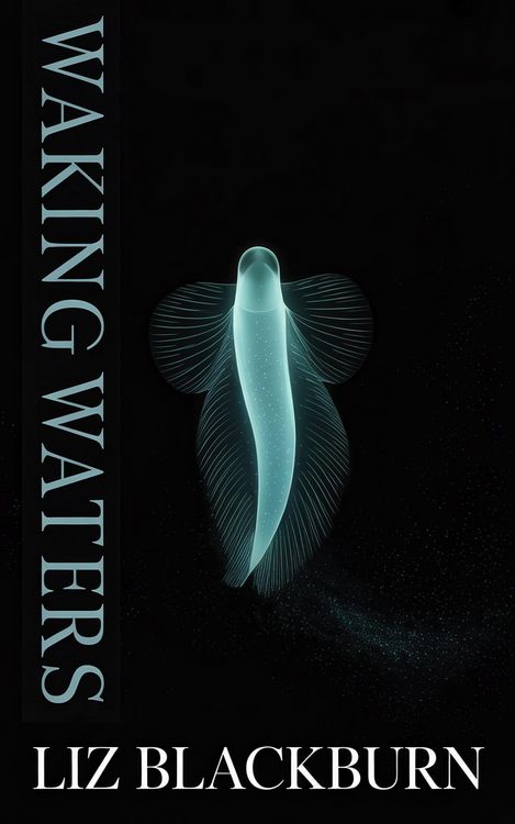 Produktbild: Waking Waters