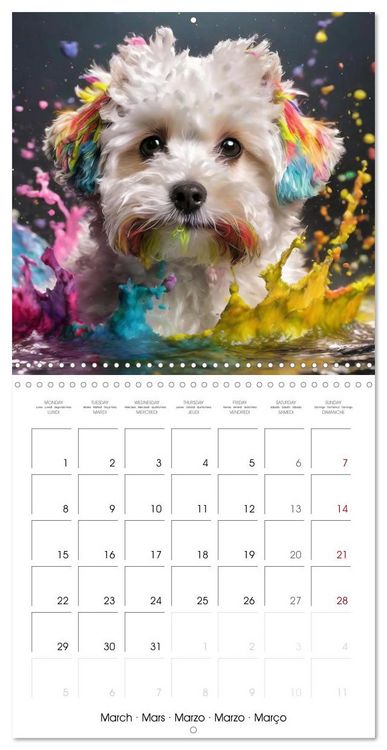 Produktbild: Colourful Splash Dogs (Wall Calendar 2027 12 &times; 12 Inch) CALVENDO 12 Month Wall Calendar