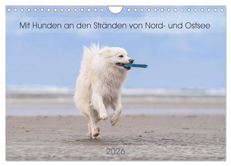 Produktbild: Mit Hunden an den Str&auml;nden von Nord- und Ostsee (Wandkalender 2026 DIN A4 quer), CALVENDO Monatskalender