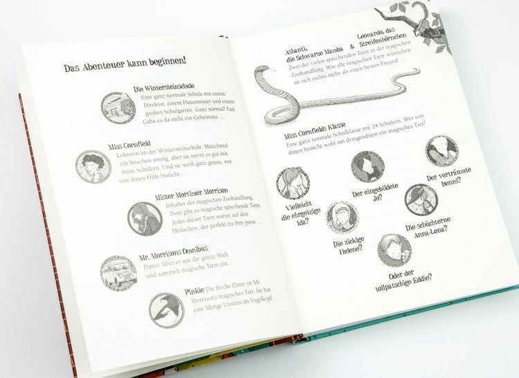 Produktbild: Die Schule der magischen Tiere Band 1