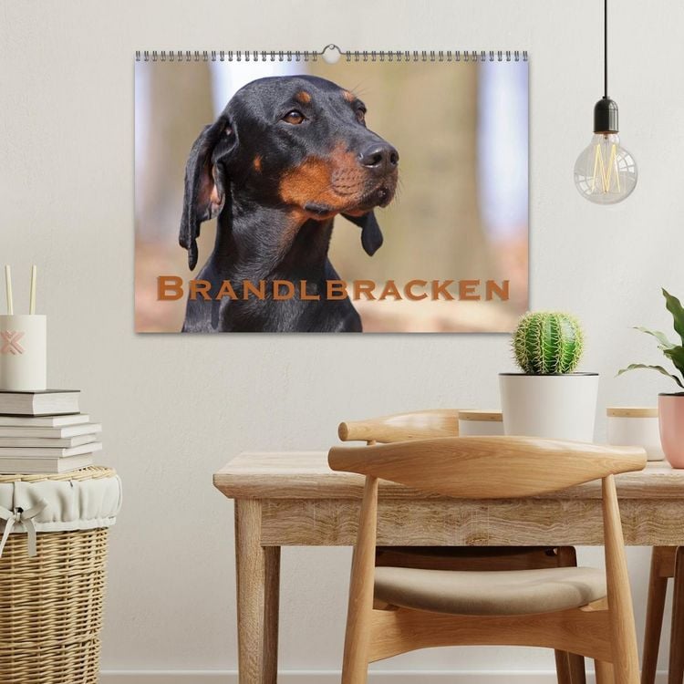 Produktbild: Brandlbracken (Wandkalender 2026 DIN A3 quer), CALVENDO Monatskalender