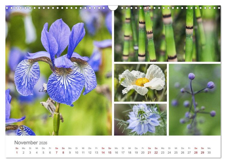 Produktbild: Ein Garten, der zum Verweilen einl&auml;dt (Wandkalender 2026 DIN A3 quer), CALVENDO Monatskalender
