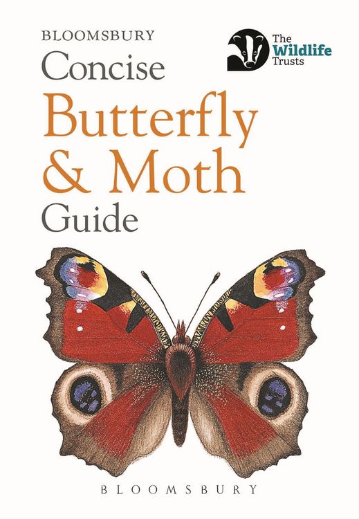 Produktbild: Concise Butterfly and Moth Guide