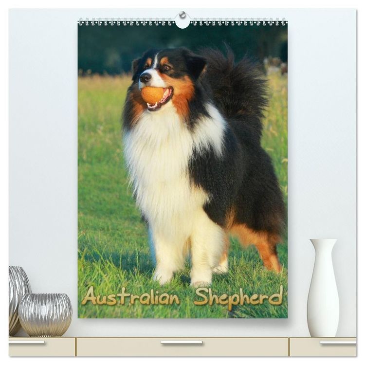 Produktbild: Australian Shepherd (hochwertiger Premium Wandkalender 2027 DIN A2 hoch), Kunstdruck in Hochglanz
