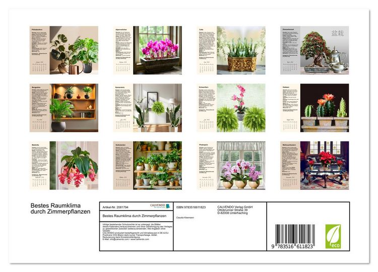 Produktbild: Bestes Raumklima durch Zimmerpflanzen (Wandkalender 2026 DIN A4 quer), CALVENDO Monatskalender